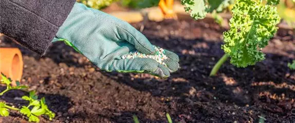 Düngen im Herbst - Kraftvoll in die kalte Jahreszeit