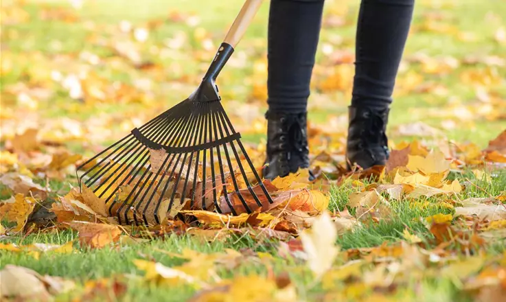 Unsere Häcksler kaufen und mehr Zeit für Ihre Gartenfreizeit