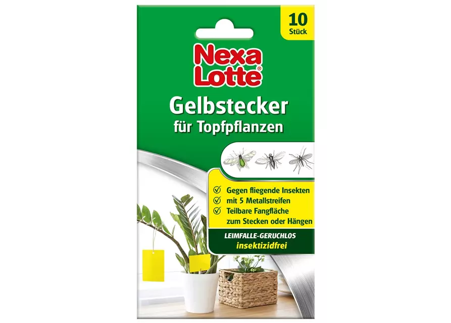 Nexa-Lotte Gelbstecker