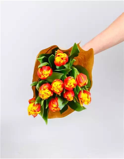 Tulpen im Bund, gelb rot