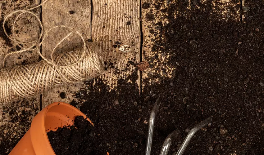 Gartenerden als Grundlage für gesunde Pflanzen