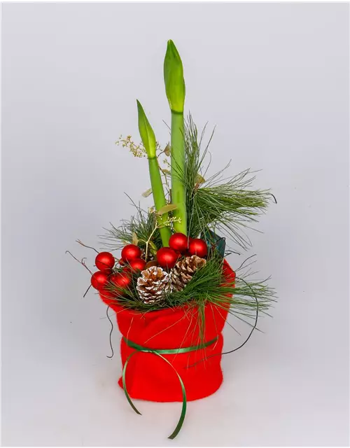 X-Mas Amaryllis in Filz