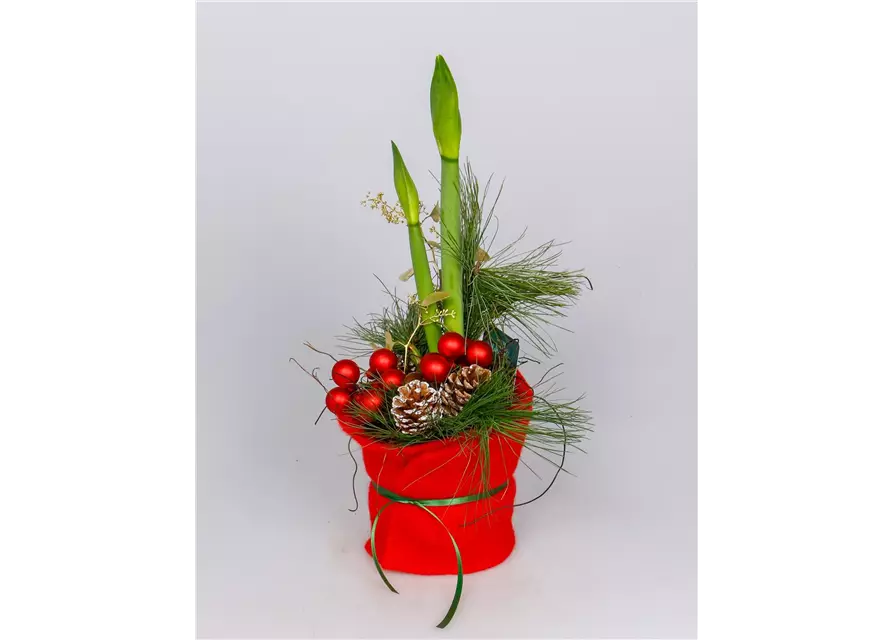 X-Mas Amaryllis in Filz