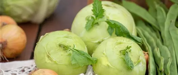 Im eigenen Garten Gemüse anbauen