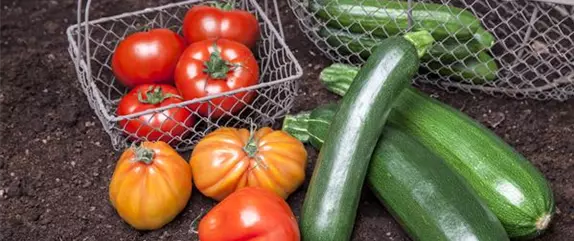 Im eigenen Garten Gemüse anbauen