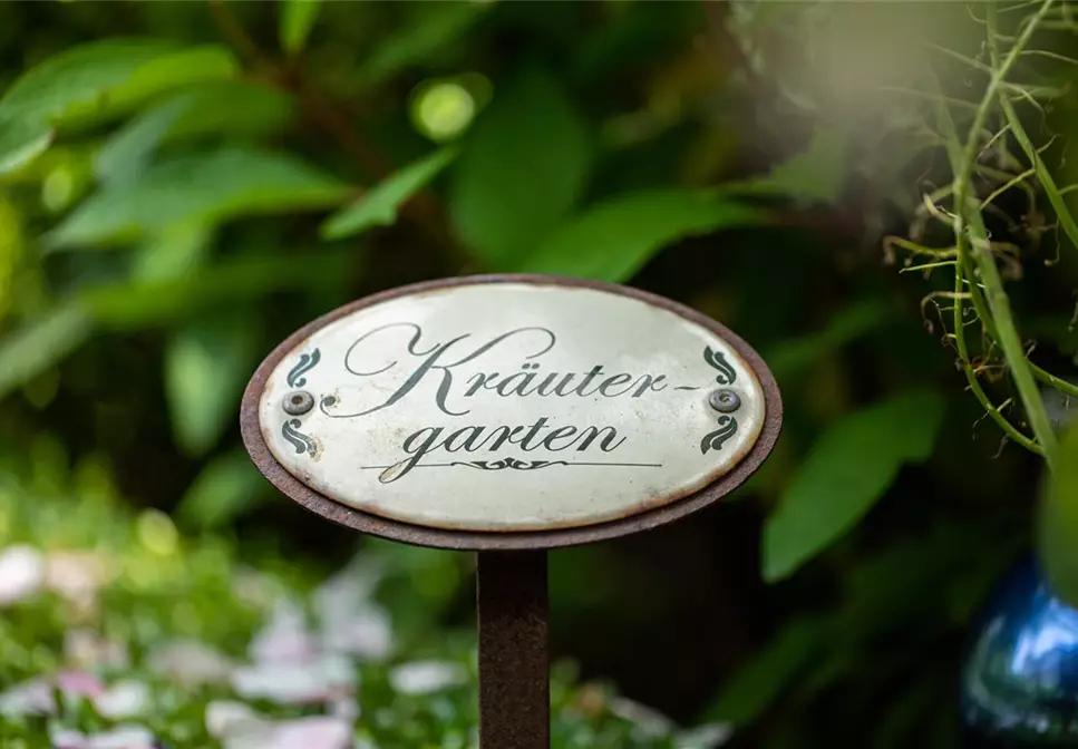 Ernte ohne Garten - Im duftenden Kräutergarten auf dem Balkon