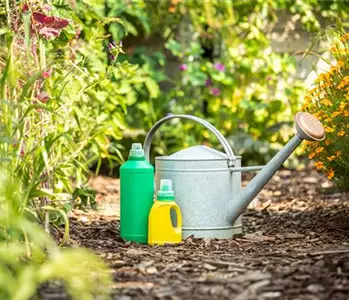 Pflanzen düngen für reiche Ernte und Blütenpracht