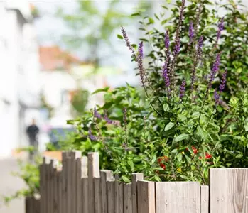 Urban Gardening – selbst in der Stadt ist Platz zum Gärtnern