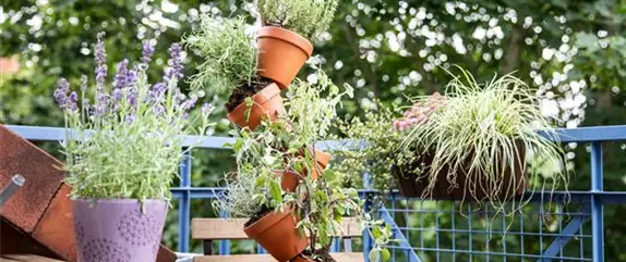 Urban Gardening – selbst in der Stadt ist Platz zum Gärtnern