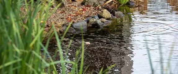 Ein asiatischer Garten als Oase der Ruhe