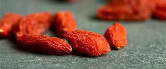 Goji-Beeren – Superfood aus Fernost im eigenen Garten