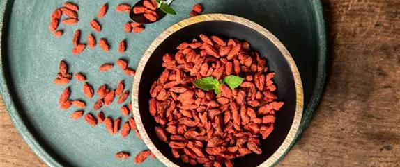 Goji-Beeren – Superfood aus Fernost im eigenen Garten