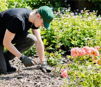 Die Grundausstattung fürs Gärtnern für Garten-Neulinge