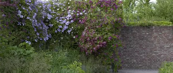 Ein Sichtschutz im Garten sorgt für mehr Privatsphäre