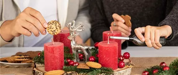 Schöne Pflanzen als Weihnachtsgeschenk kommen immer gut an