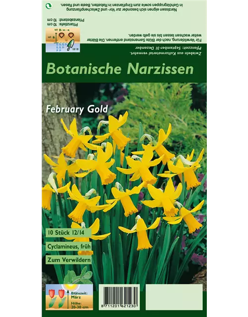 Blumenzwiebel Set 'Das Gelbe vom … Blumenbeet'