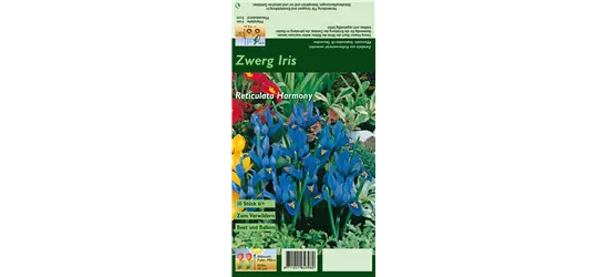 Zwerg-Iris 'Harmony'