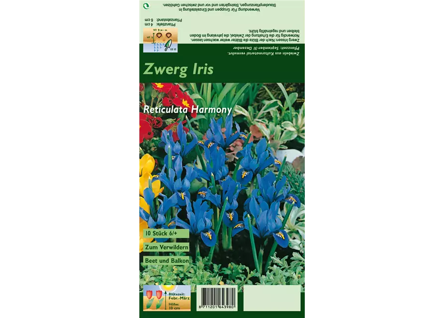 Zwerg-Iris 'Harmony'