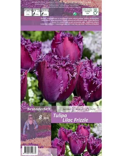 Blumenzwiebel Set 'Lilac Specials'