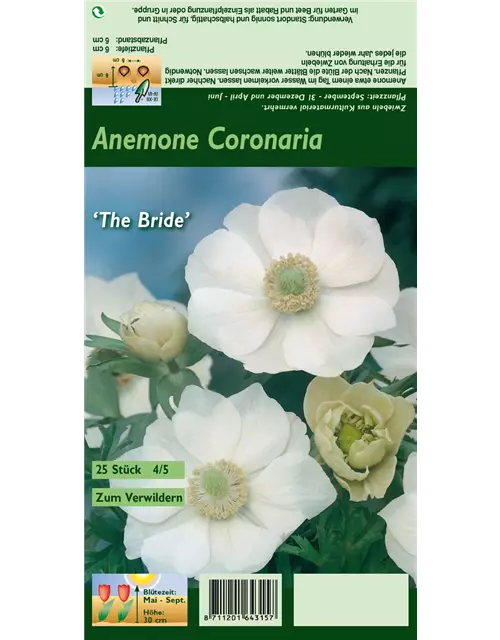 Kronen-Anemone 'De Caen The Bride'