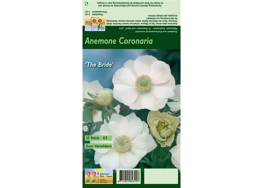 Kronen-Anemone 'De Caen The Bride'