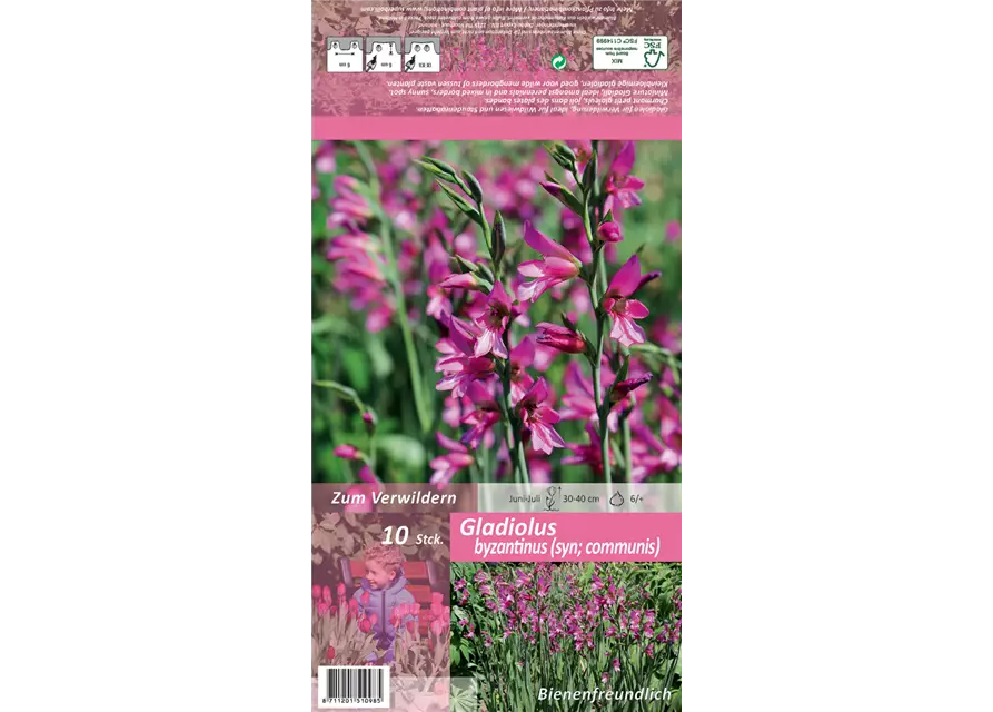 Blumenzwiebel Set 'Pink Paradies'