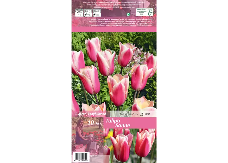 Blumenzwiebel Set 'Pink Paradies'