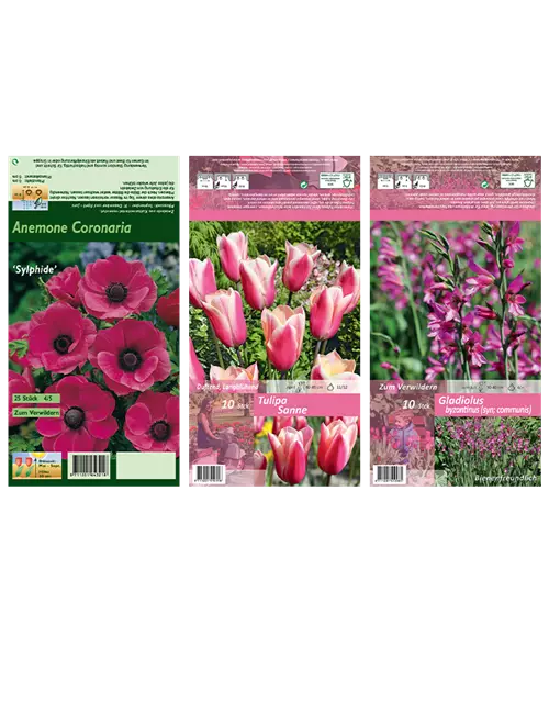 Blumenzwiebel Set 'Pink Paradies'