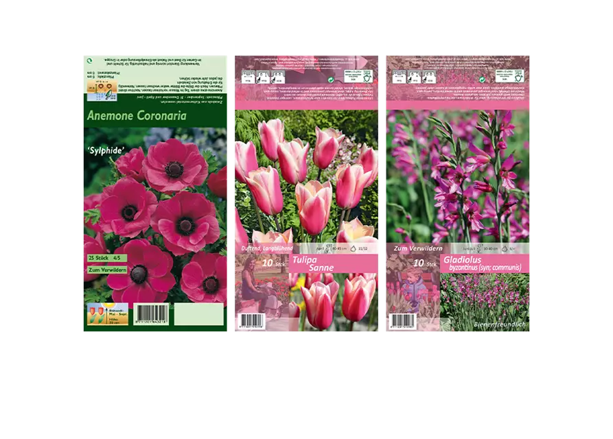 Blumenzwiebel Set 'Pink Paradies'