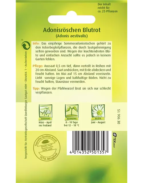 Adonisröschensamen 'Blutrot'