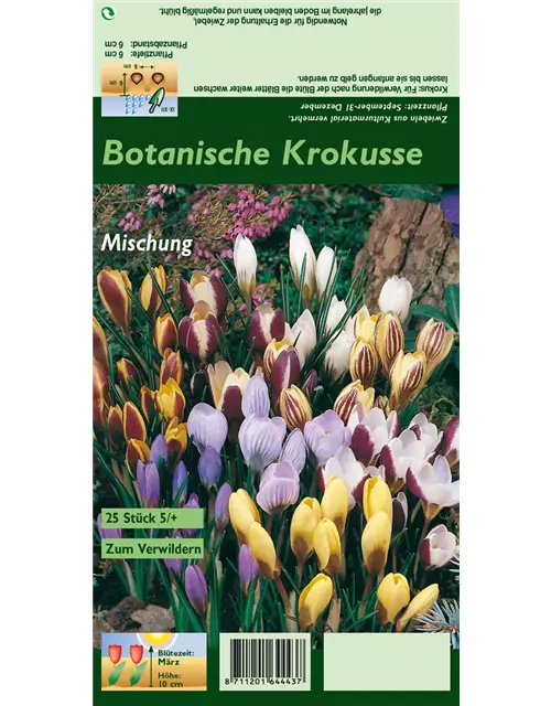 Botanische Krokusse