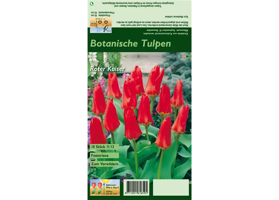 Blumenzwiebel Set 'Red Passion'