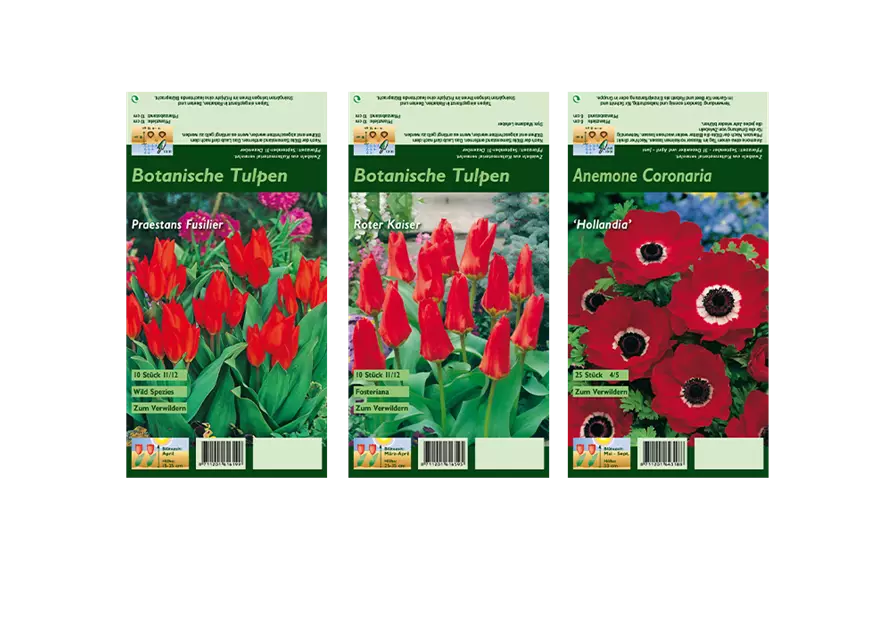 Blumenzwiebel Set 'Red Passion'