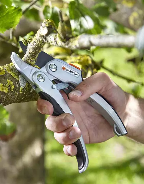 Gardena Comfort Ratschen-Gartenschere SmartCut