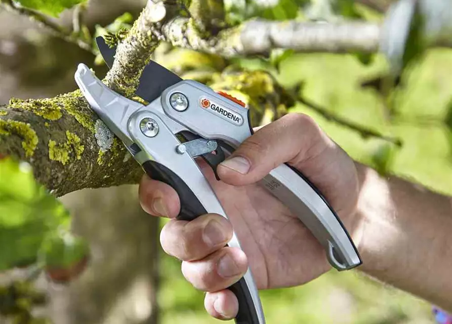 Gardena Comfort Ratschen-Gartenschere SmartCut