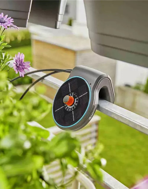 Gardena Solar Bewässerungsautomat aquaBloom Set grau