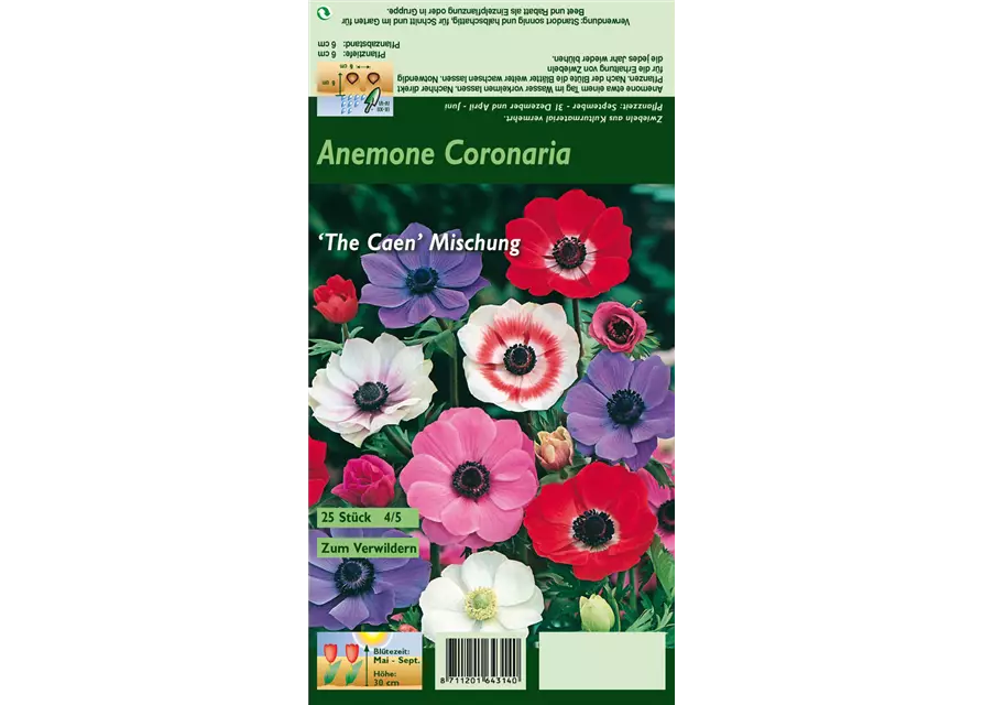 Garten-Anemone 'De Caen'