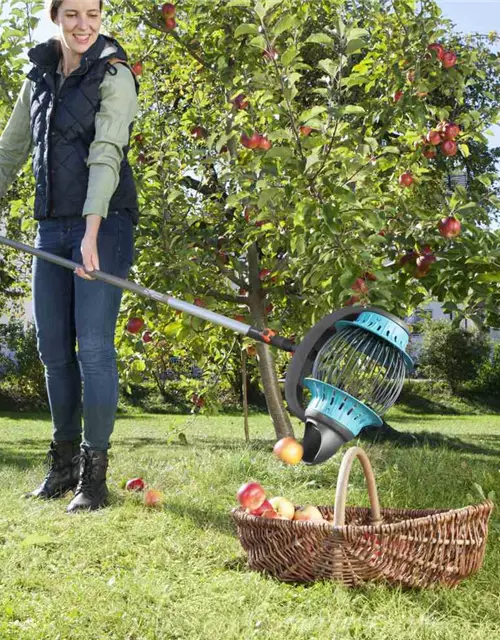 Gardena Combisystem Roll-, Apfel- und Obstsammler mit Schaufelfunktion