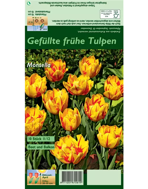 Gefüllte frühe Tulpe 'Monsella'