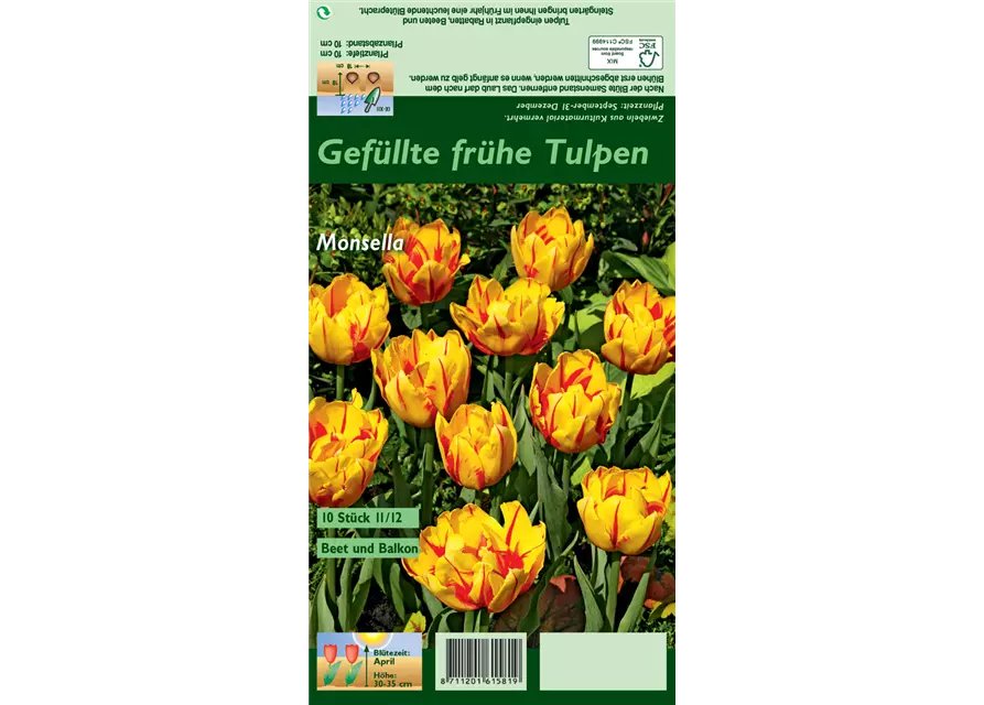 Gefüllte frühe Tulpe 'Monsella'