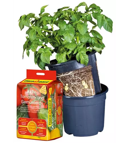 Floragard Potato Pot Set