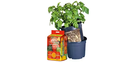 Floragard Potato Pot Set