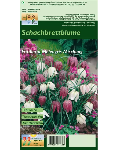 Gewöhnliche Schachblume