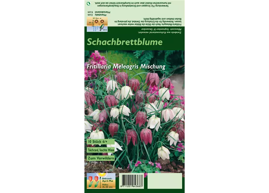 Gewöhnliche Schachblume