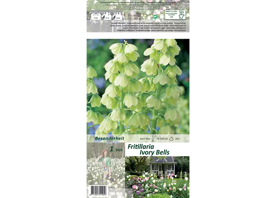 Garten-Kaiserkrone 'Ivory Bells'