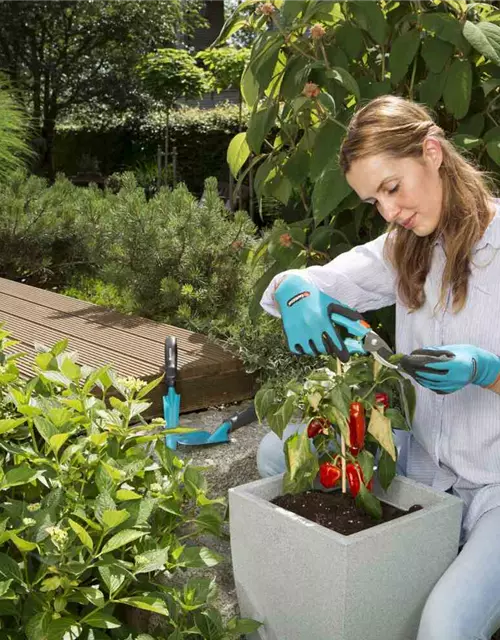 Gardena Set Kleingeräte Grundausstattung 