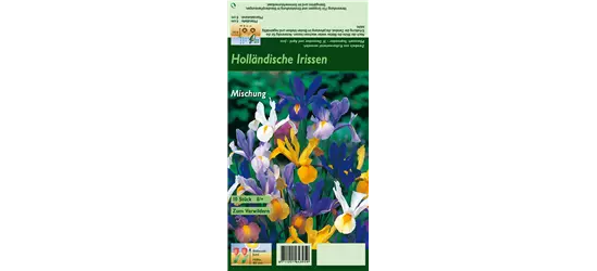 Holländische Iris