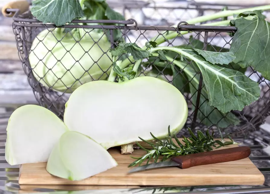 Kohlrabi 'Superschmelz'