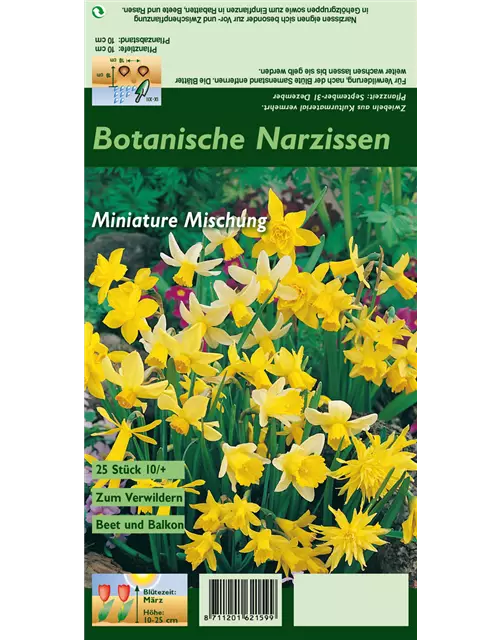 Narzisse 'Botanische Mischung'