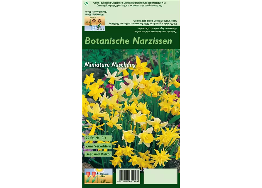 Narzisse 'Botanische Mischung'